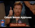 reverse-1237811519_chuck-norris-approves.gif