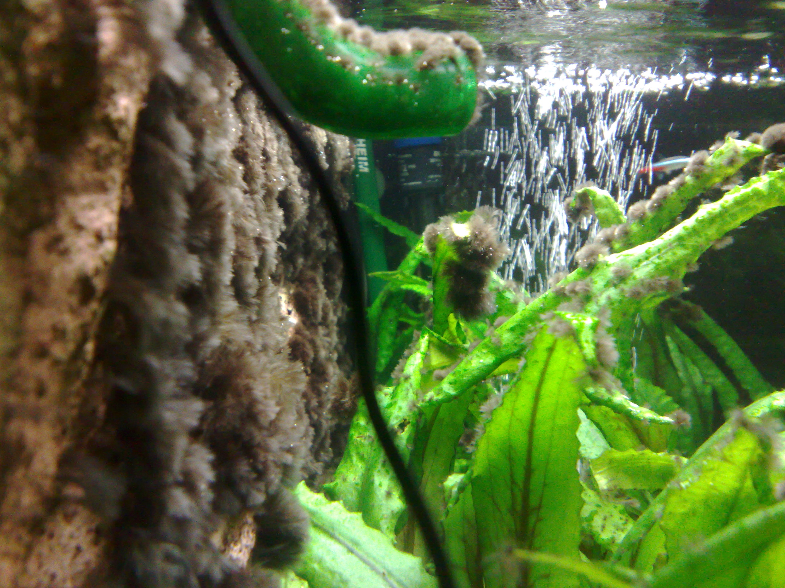20121028338.jpg