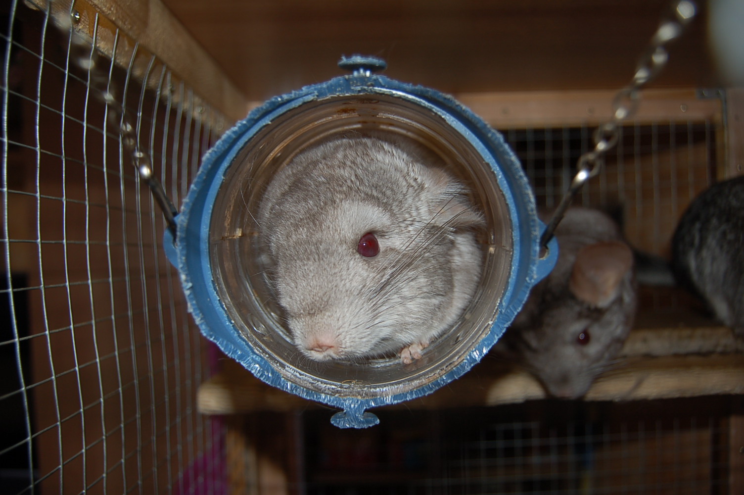 dsc_5066.jpg