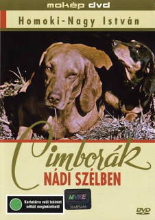 cimborak-nadi-szelben.jpg