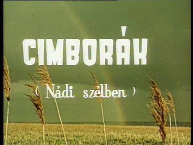 kepernyokep-cimborak.nadi.szelben.1958.dvdrip.xvid.hun-blackrose.avi-1.png